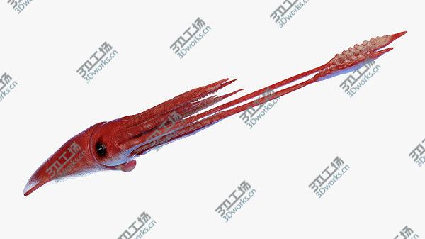 images/goods_img/20210312/3D Giant Squid/1.jpg